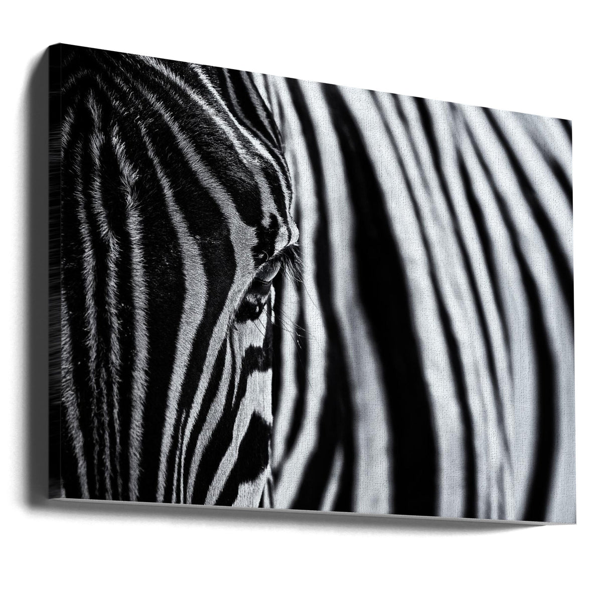 Wall art The look of nature