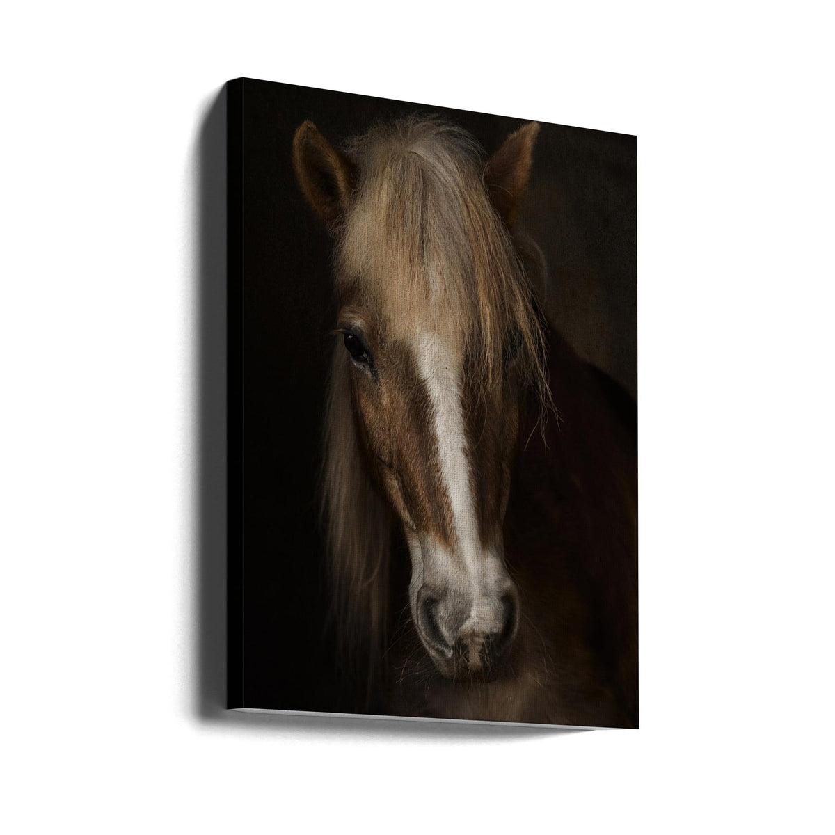 Wall art Sapience