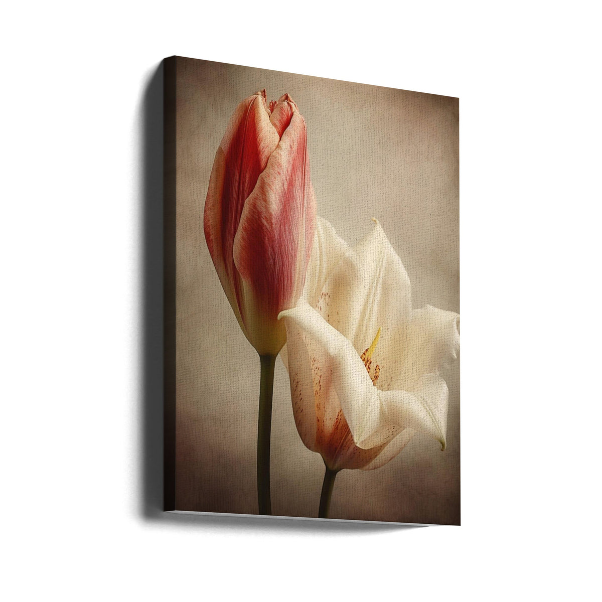 Vintage Flowers 3