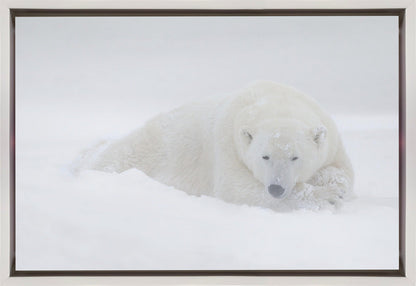 Wall art White
