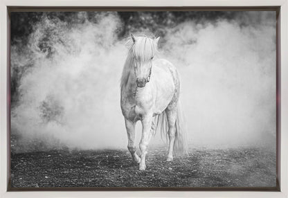 Wall art Icelandic pony