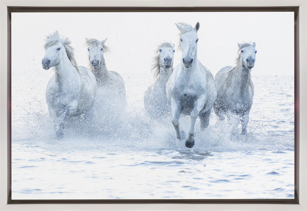 White Horses Running Through Water Canvas Wall Art | Horses on the Run
