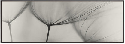 Wall art Tragopogon