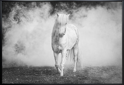 Wall art Icelandic pony