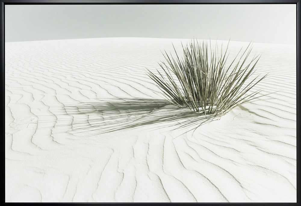 Wall art WHITE SANDS Vintage Dune