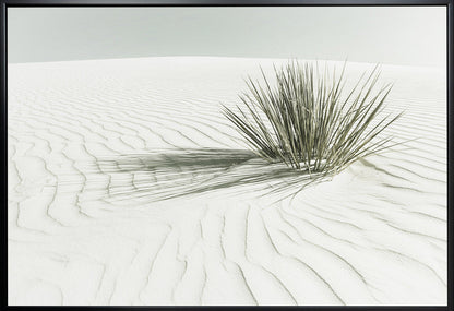 Wall art WHITE SANDS Vintage Dune