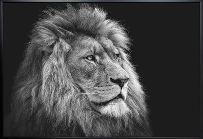 Black and White Lion in Side Profile Canvas Wall Art