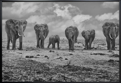 Wall art Big Family. Elephants