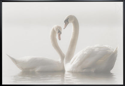 Wall art Forever. Swam
