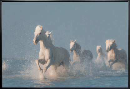 Wall art Angels of Camargue. Horse