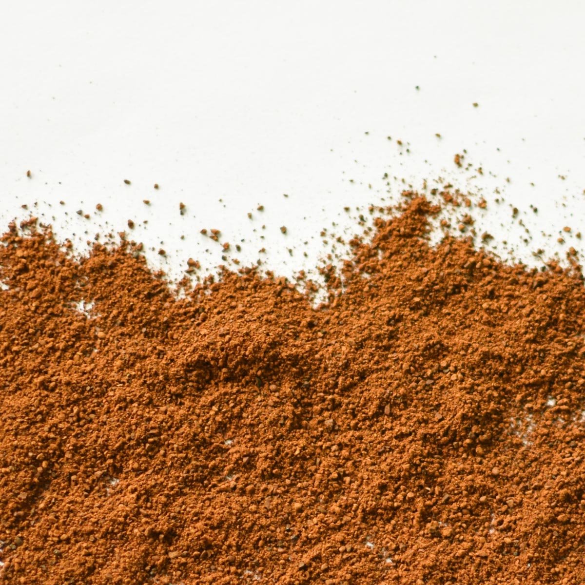 Chaga | Champignon moulu (Inonotus obliquus)