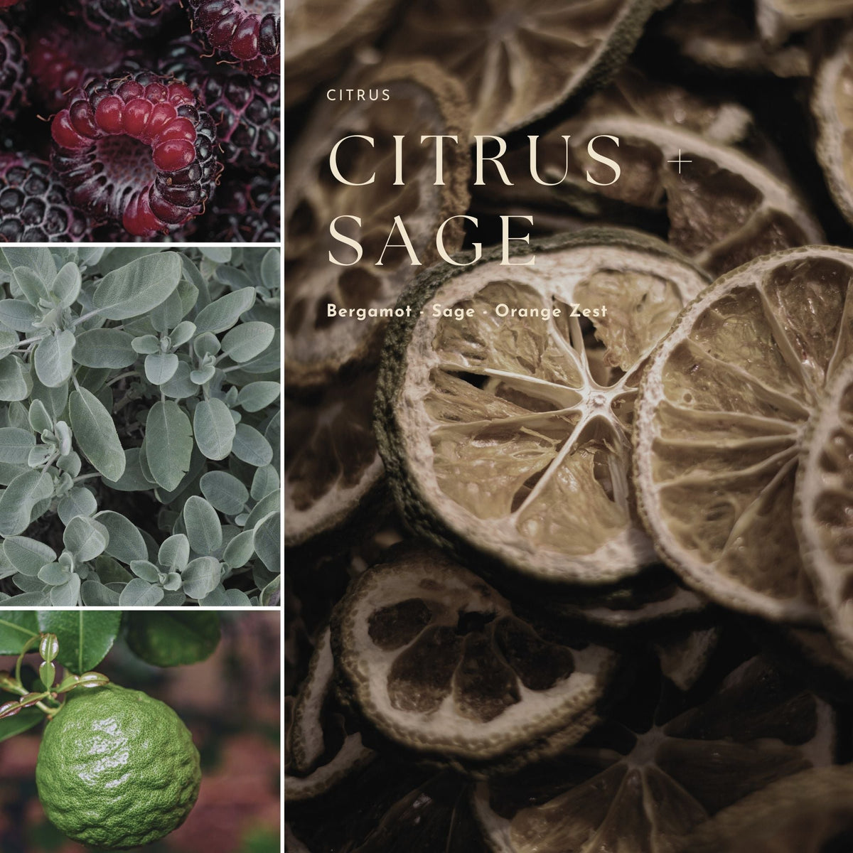 Recharge d'Huile pour Diffuseur à Bâtonnets Gourmand, Fruits & Agrumes