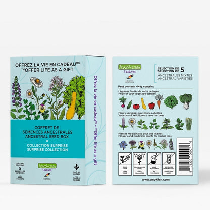 Coffret de semences surprise | Découvertes du jardin
