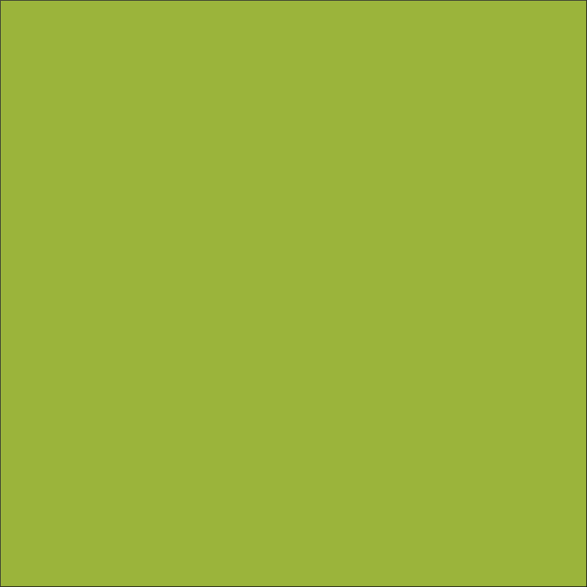 Craft Lime HTV Vinyl 4.5" x 150 Foot Rolls