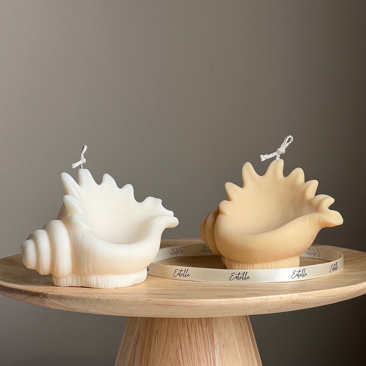 Bougie de soja coquillage : Coquille de palourde décorative, Cadeau végétalien unique