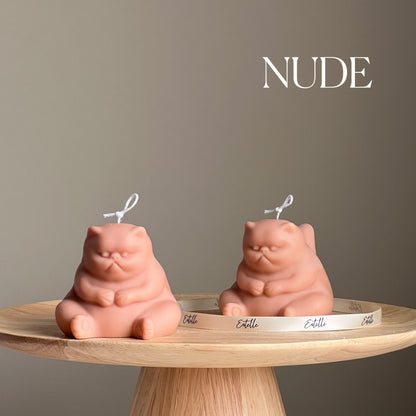 Bougie Grumpy Cat faite main : Bougie pilier décorative en cire de soja
