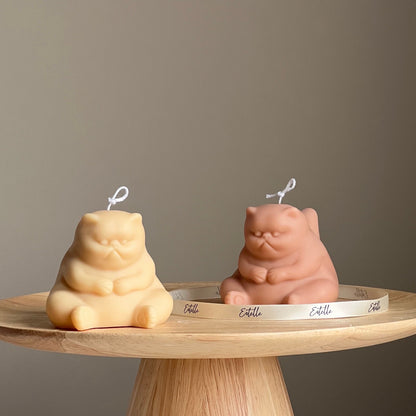 Bougie Grumpy Cat faite main : Bougie pilier décorative en cire de soja