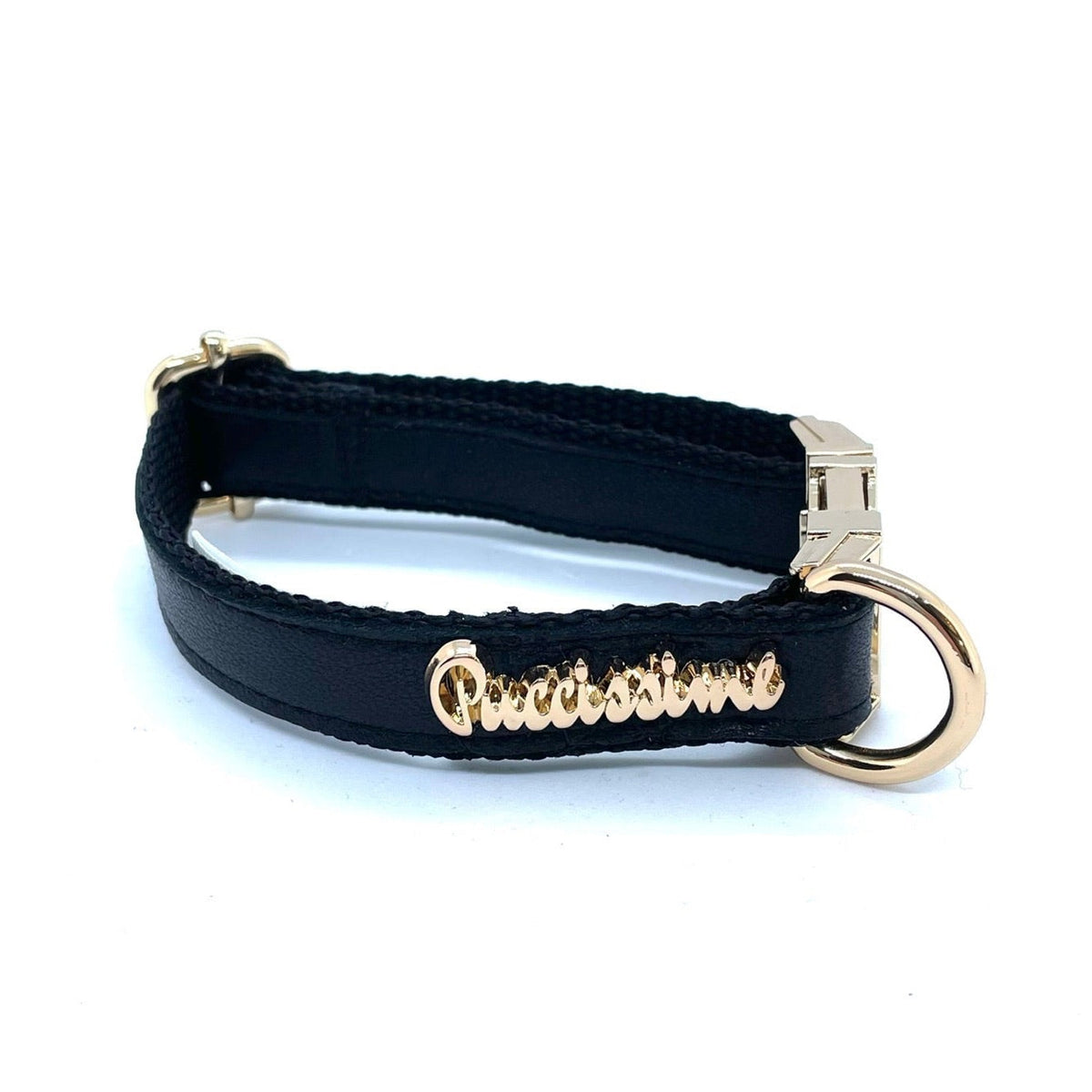 Collier pour chien Raven