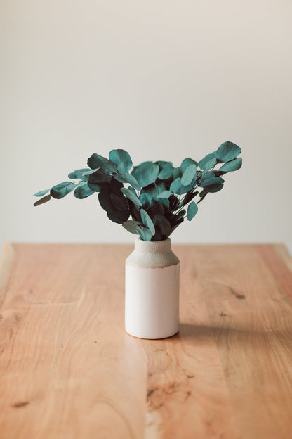 Bouquet d'eucalyptus Dollar d'argent stabilisé