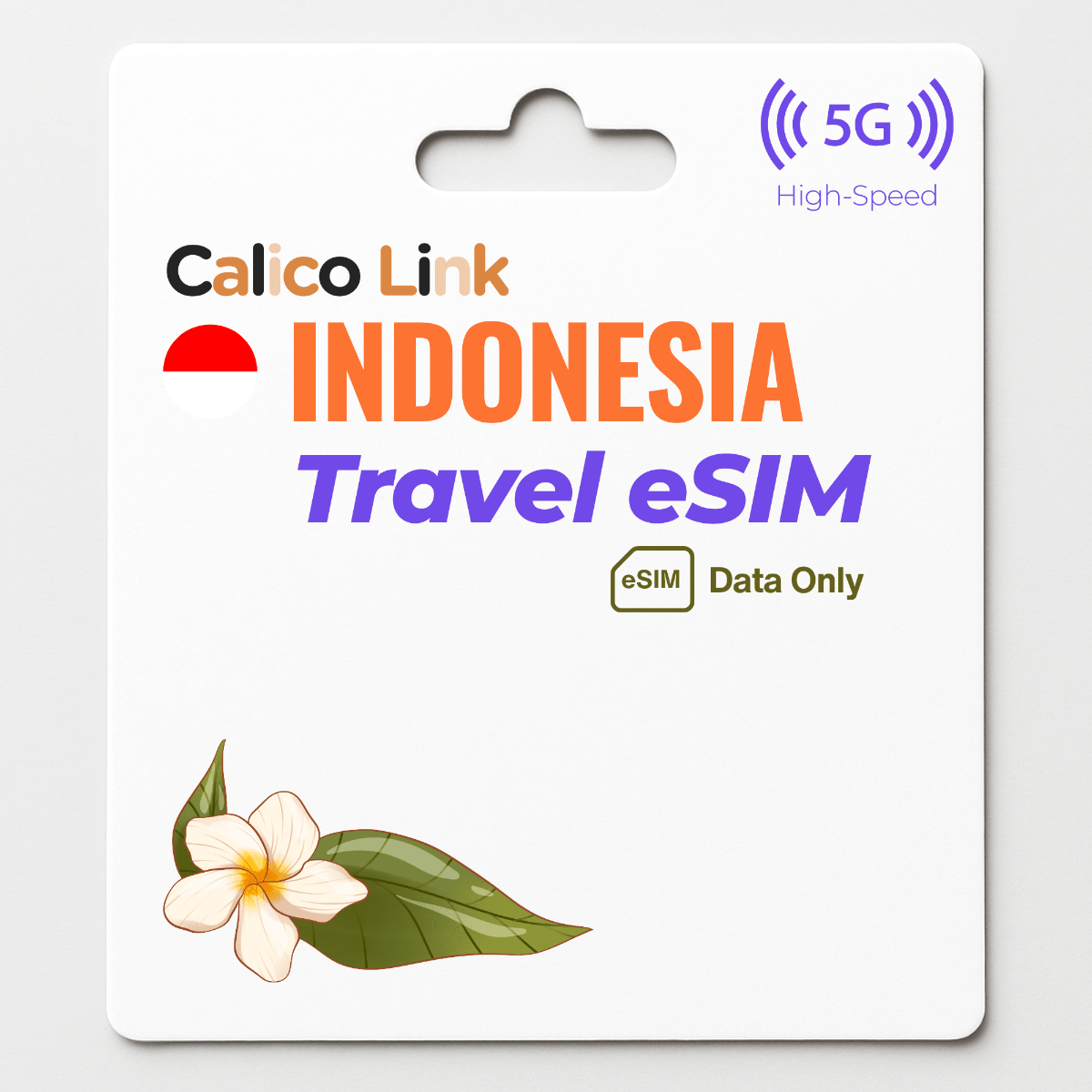 Indonesia Travel eSIM | 5G Data