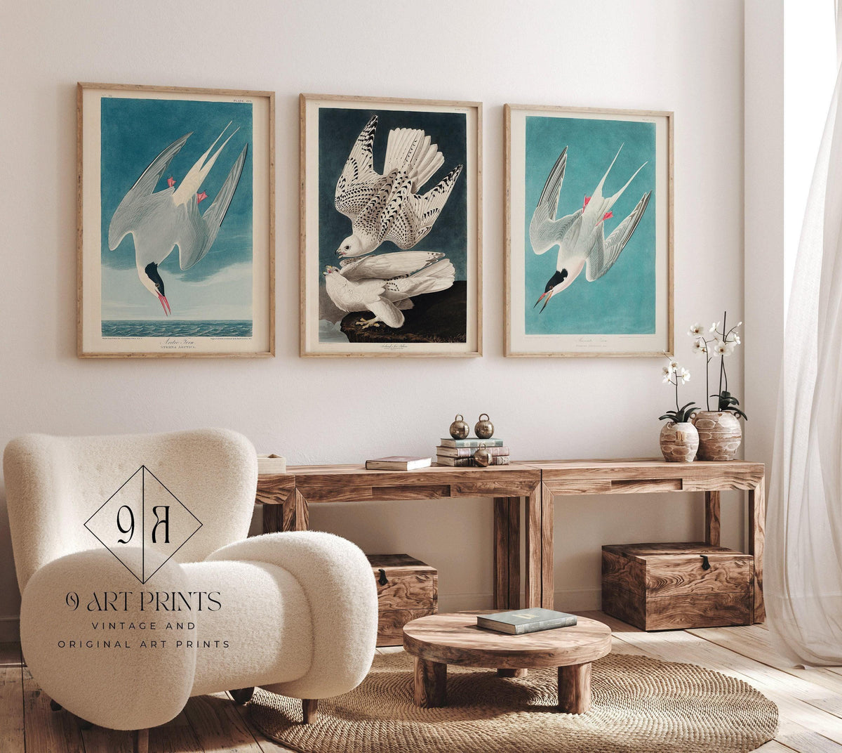 Gravures d'oiseaux d'Audubon : Sterne arctique et faucon - Giclée de qualité musée