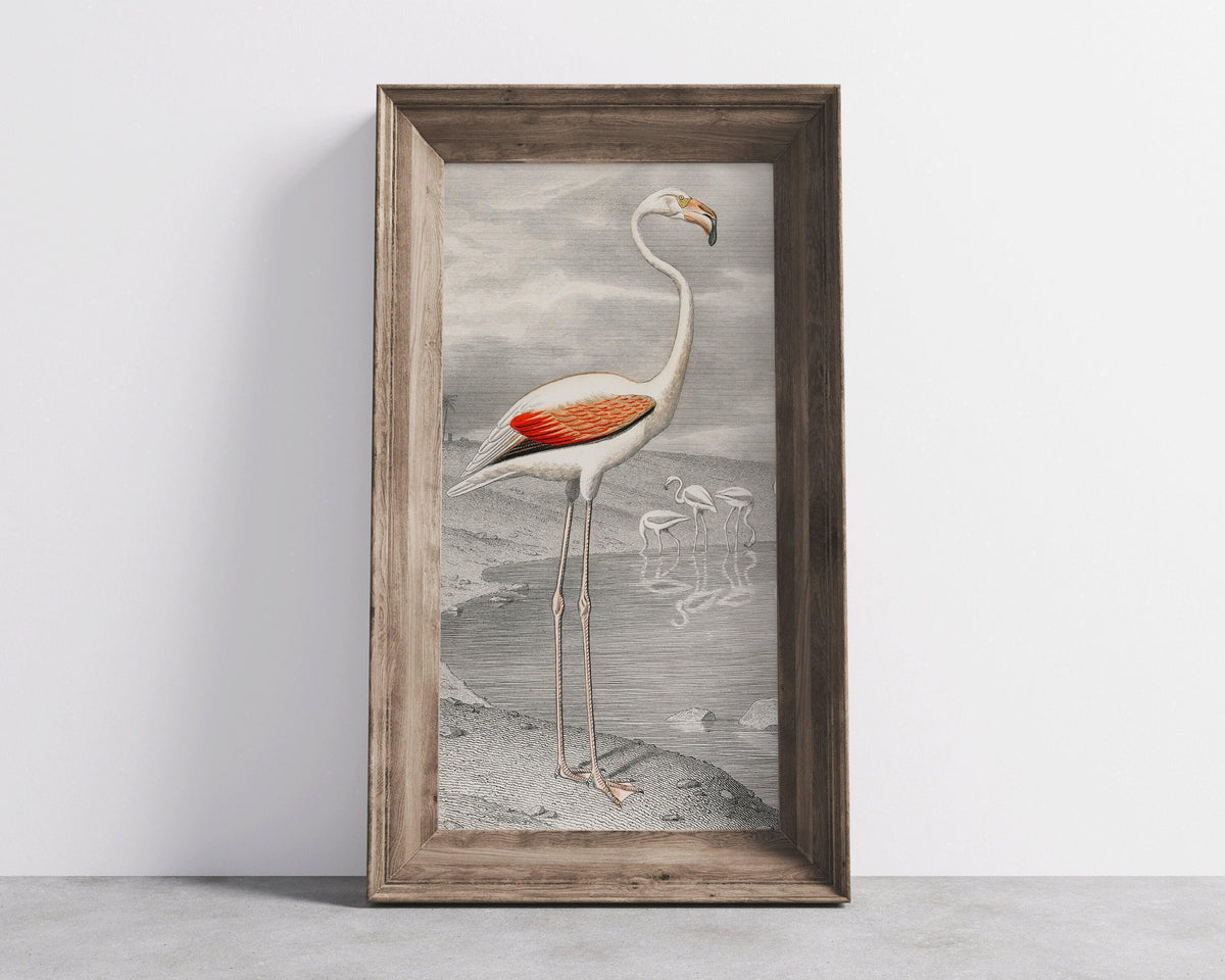 Vintage Flamingo Art Print by Edouard Travies (Handframed or Unframed) (2x1)