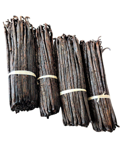 Madagascar Bourbon Extract Vanilla Beans Grade-B <br>For Extract Making<BR>By Pound