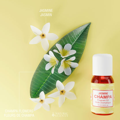 Huile parfumée Jasmin Champa