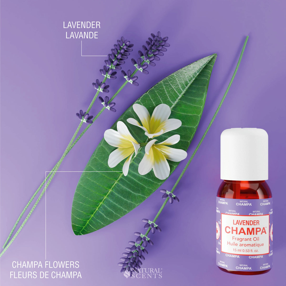 Lavender Champa Fragrant Oil