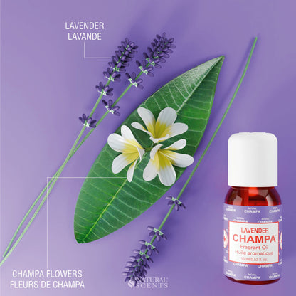 Lavender Champa Fragrant Oil
