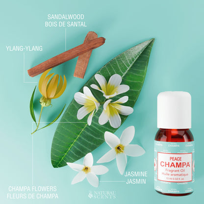 Peace Champa Fragrant Oil