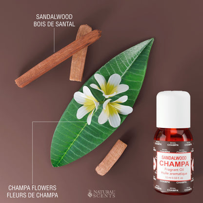 Sandalwood Champa Fragrant Oil