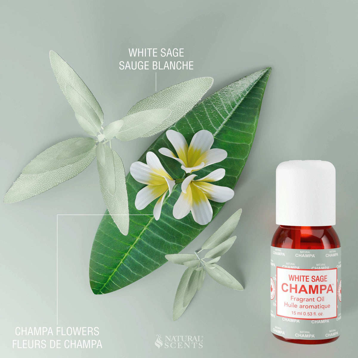 White Sage Champa Fragrant Oil