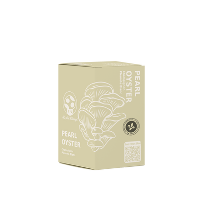 Kit de culture de pleurotes en huître