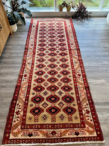 Persian Azerbaijan Runner Rug | 3' 10" x 9' 3"