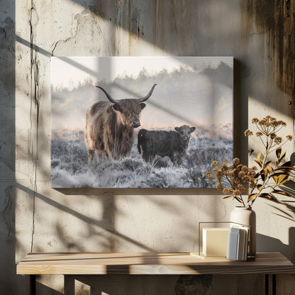 Wall art Highlander and Calf