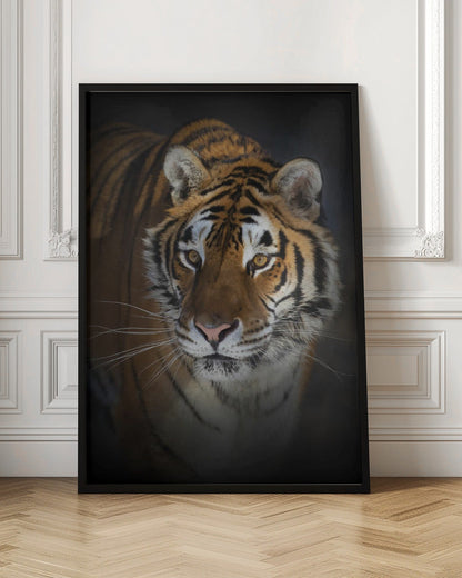 Siberian Tiger Close-Up Portrait Canvas Wall Art