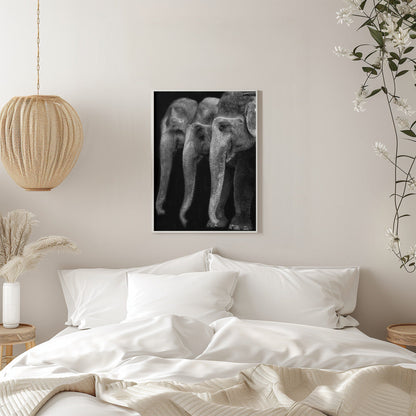 Wall art Nature\'s great masterpiece, an elephant; the only harmless great thing ...