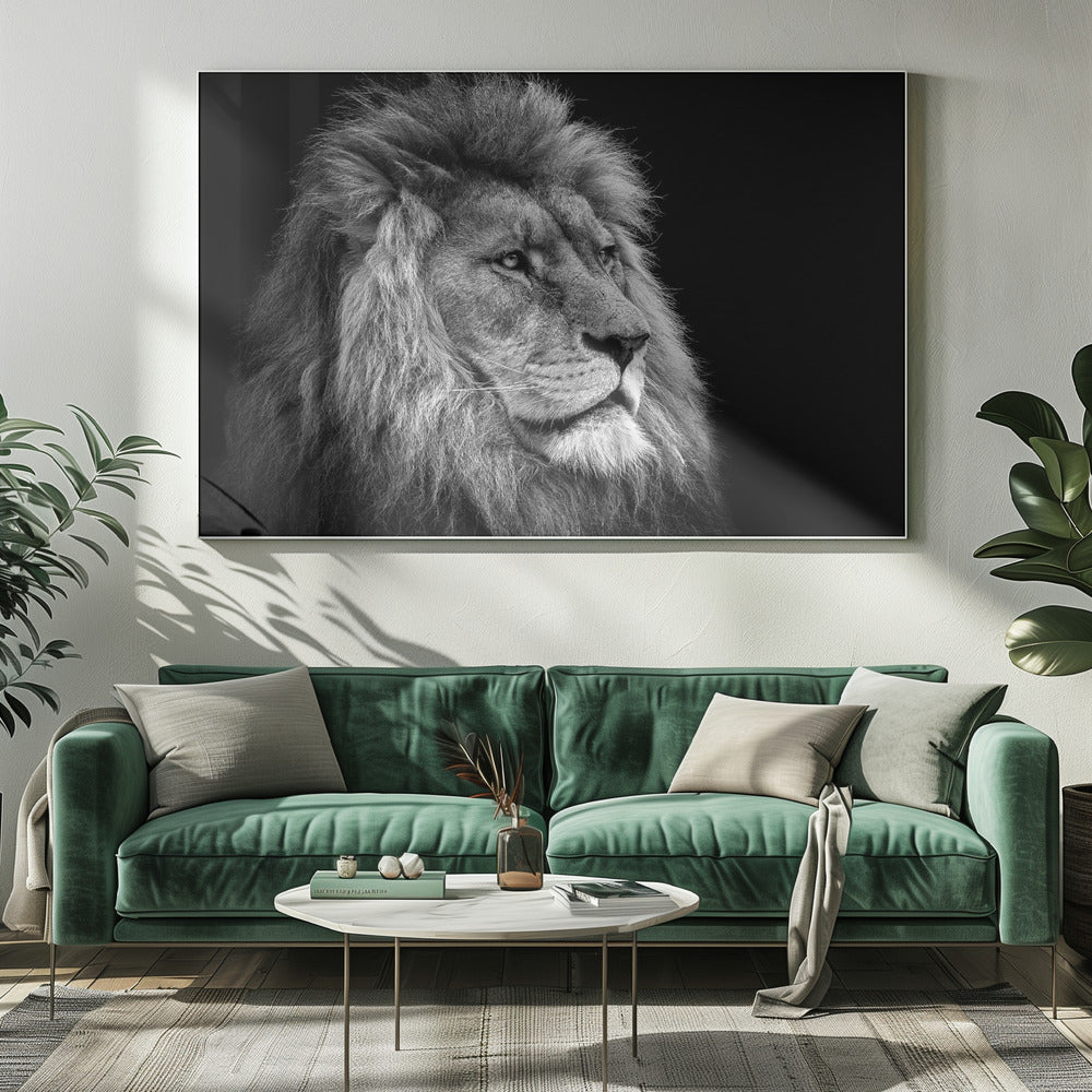 Black and White Lion in Side Profile Canvas Wall Art