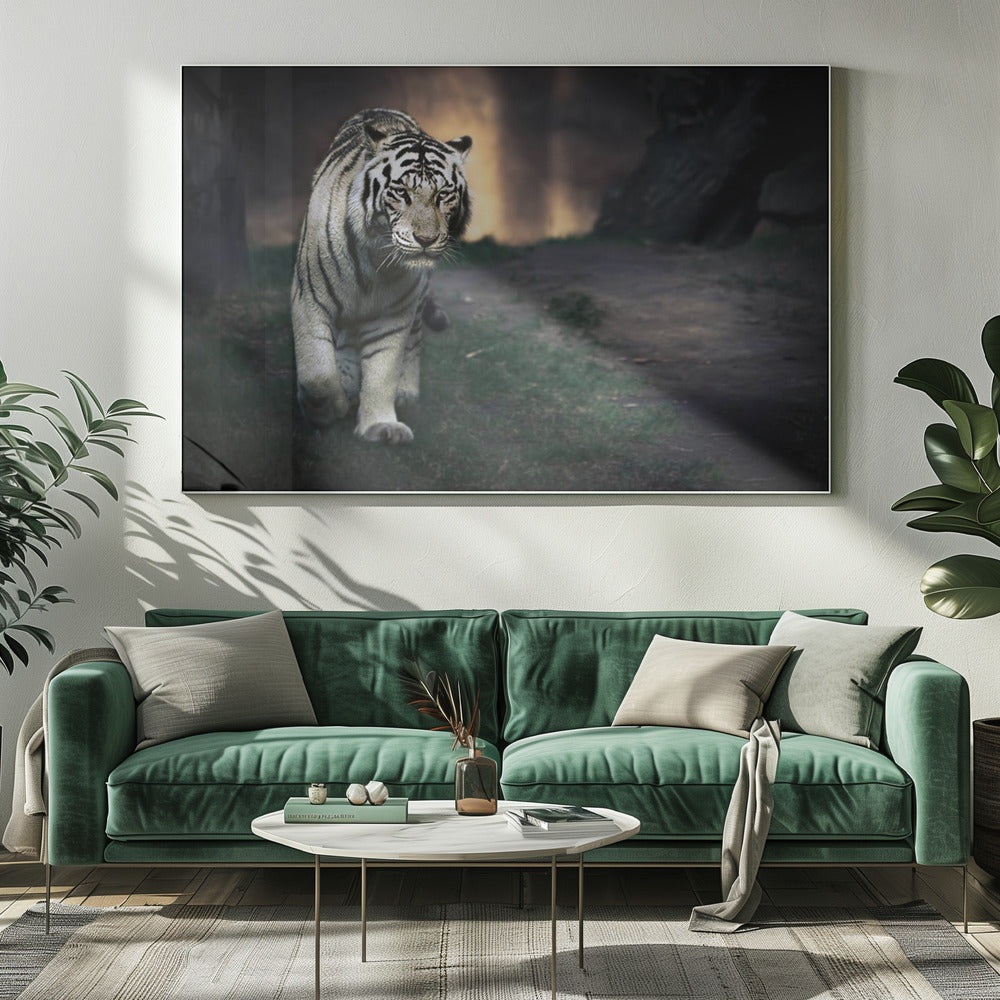 White Tiger Walking through a Dark Landscape Canvas Wall Art | White walker
