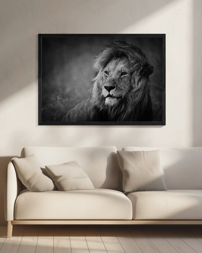 Wall art Regal. Lion