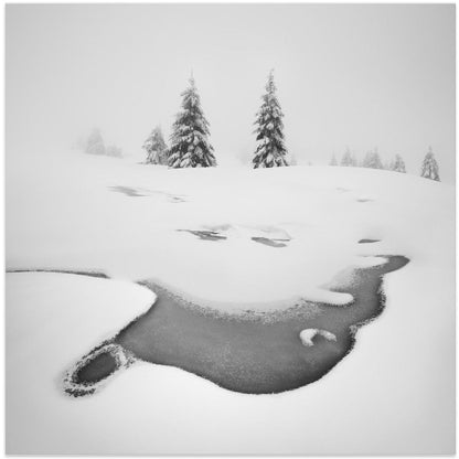 Wall art Frozen swamps