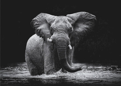 Wall art Power 1. Elephant