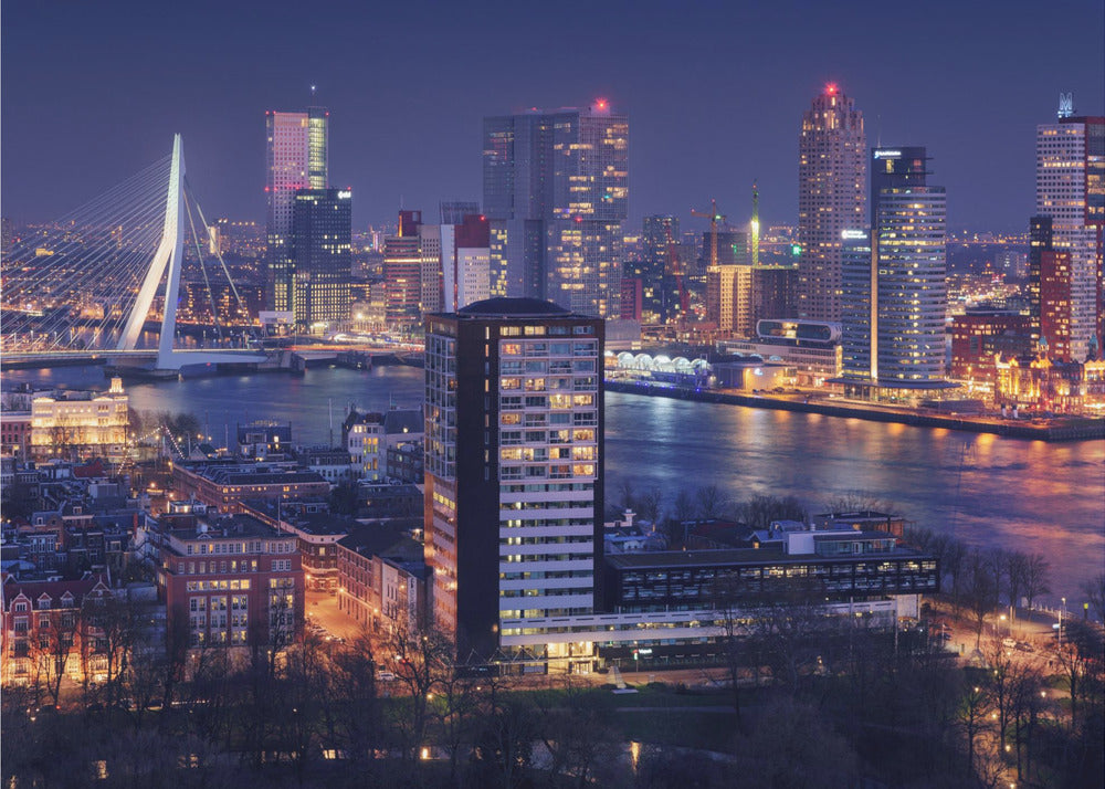 Rotterdam Skyline and Erasmus Bridge at Night Canvas Wall Art | Big Rotterdam 2