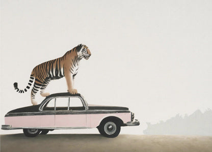 Tiger Standing on a Vintage Car Canvas Wall Art | Tiger on a car roof