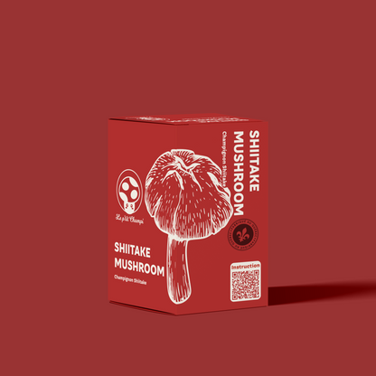 Kit de culture de shiitakés