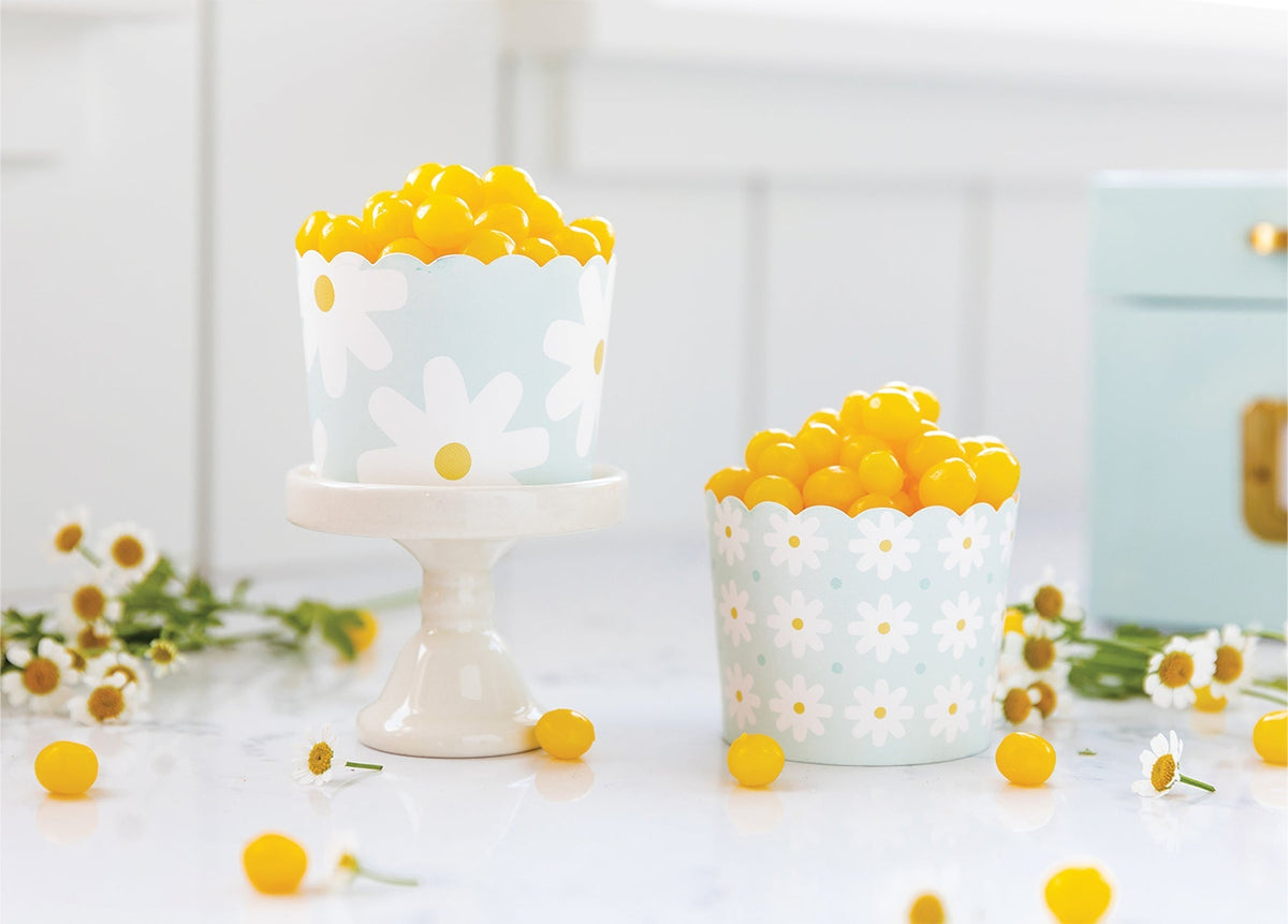 Spring Daisy Food Cups