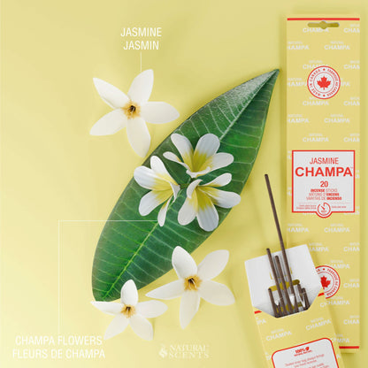 Jasmine Champa Incense Sticks
