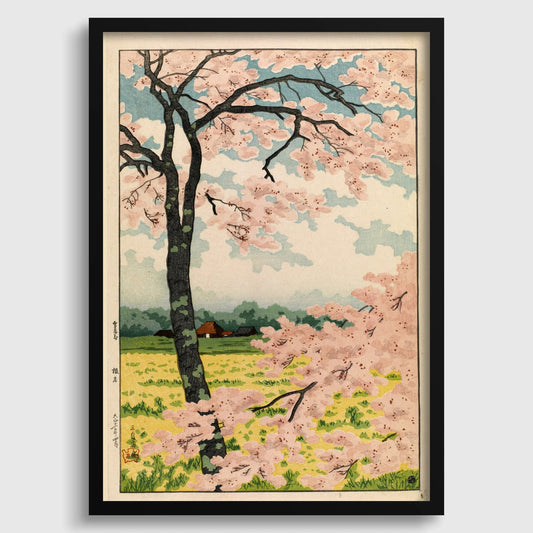 Estampe de cerisiers en fleurs de Takahashi Shotei : Art japonais sur bois vintage
